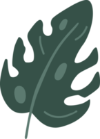 Hand drawn green leaf shape. png