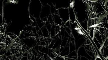 lignes vertes entrelacées brillantes sous la forme d'une toile d'araignée en mouvement sur fond noir video
