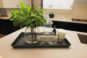 Kitchen Counter With Tray Of Decorator Items photo