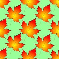seamless symmetrical pattern of autumn maple leaves on a green background, texture, design photo