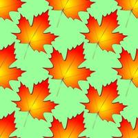 seamless symmetrical pattern of autumn maple leaves on a green background, texture, design photo