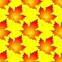 seamless symmetrical pattern of autumn maple leaves on a yellow background, texture, design photo