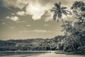 playa de manglares y pouso en la isla tropical ilha grande brasil. foto