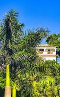 Hotels resorts buildings in paradise among palm trees Puerto Escondido. photo