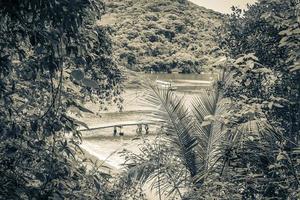 Mangrove and Pouso beach on tropical island Ilha Grande Brazil. photo