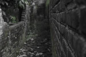 pasillo largo con paredes colapsadas. Callejón viejo y aterrador. concepto en blanco y negro. el pasillo de la pared está casi derrumbado y cubierto de musgo con un concepto en blanco y negro que parece aterrador y aterrador. foto