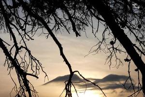 Clouds in the background with the backlighting of tree branches in the foreground. photo