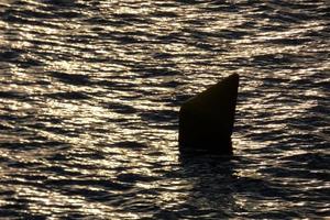 retroiluminación de una boya marcadora marina foto