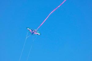 kite furrowing and hovering in the air under the blue sky photo