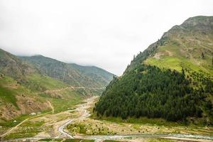 Fine trees forest landscape Naran Jhalkand photo