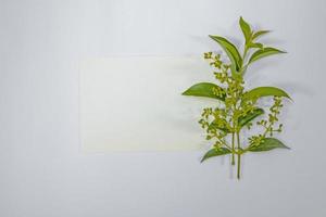 A5 paper greeting card mockup with green leaves on white background photo