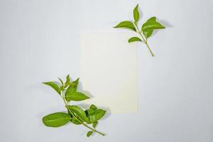 A5 paper greeting card mockup with green leaves on white background photo