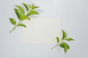 A5 paper greeting card mockup with green leaves on white background photo