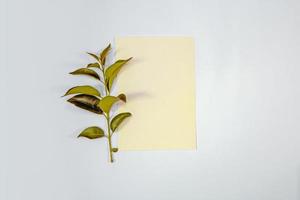 A5 paper greeting card mockup with green leaves on white background photo