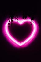 Neon pink heart on black wall photo