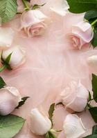 Top view of pink roses  on pink tulle background. photo
