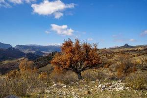 last days of autumn peaceful background image photo