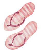 sandalias de verano acuarela png