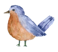 pájaro acuarela animal png