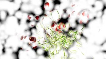 representación digital de fondo abstracto burbujeante botánico foto
