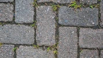 paving block texture with weeds in the gaps as background photo