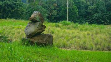 stacked stones piled in the beautiful green grass photo