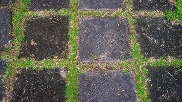 concrete block driveway with green grass in between. as background photo