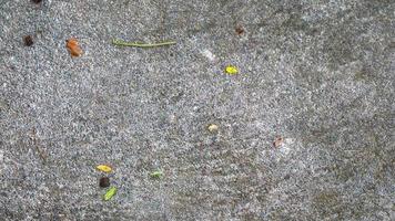 concrete road texture with falling leaves photo