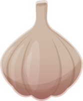 Garlic bulbs in cartoon design. Colorful illustration isolated on transparent background. png