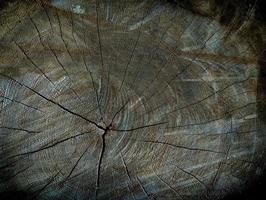 Fondo de papel tapiz de superficie de tocón de árbol agrietado foto