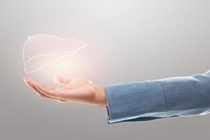 Female doctor holding liver illustration against a gray background. The concept of Liver disease protection and healthcare. photo