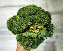 Raw broccoli in hand. Vegetarian food or diet concept. photo