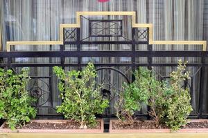 Green plants and flowers grow along the fence. photo