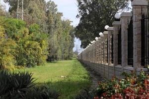 Green plants and flowers grow along the fence. photo