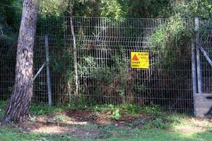 Green plants and flowers grow along the fence. photo