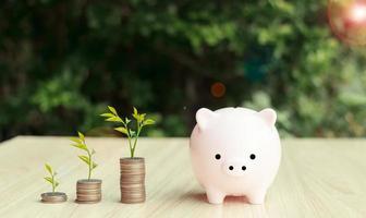 business finance and saving money investment , Money coin stack growing graph with piggy bank saving concept. plant growing up on coin. Balance savings and investment. photo