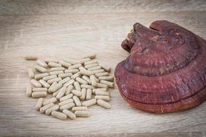 Ganoderma lucidum capsule - Ling zhi mushroom photo