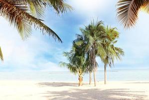 blurred blue sky and leaves of coconut palm tree on white beach for panaroma tropical summer background photo