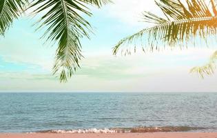 Palm leaves and tropical beach in sunset photo