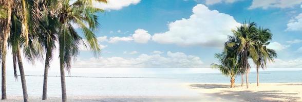 blurred blue sky and leaves of coconut palm tree on white beach for panaroma tropical summer background photo