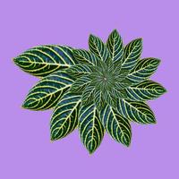 tropical exotic plant leaf,seamless background for textile and fabric design photo