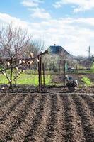 plough garden ground and tiller in village photo