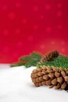 Brown fir cones on pine branches on snow. Behind red background with snowflakes. Vertical. Christmas, New Year. Copy space photo
