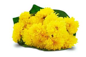 Bouquet of yellow chrysanthemums in wrapper on white isolated background. Holiday, March 8, birthday, international women's, mother's and Valentine's day. Copy space photo