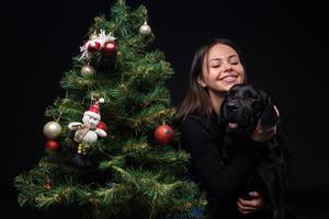 Portrait of a Labrador Retriever dog with its owner, near the new year's green tree. photo