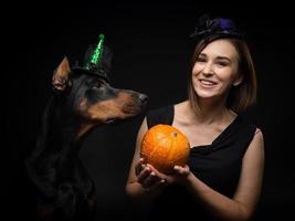 retrato de un perro doberman con una chica dueña. en disfraces de carnaval con una calabaza. foto