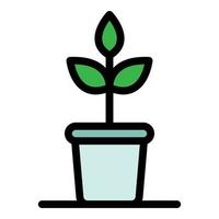 Indoor plant icon color outline vector