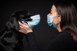 Portrait of a Labrador Retriever dog in a protective medical mask with a female owner. photo