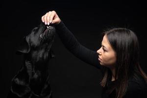 A girl holds a Labrador Retriever dog in her arms. photo