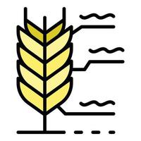 vector de contorno de color de icono de planta de trigo